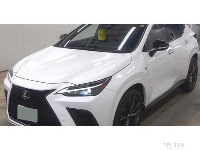 2022 Lexus NX