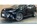 2022 Lexus NX