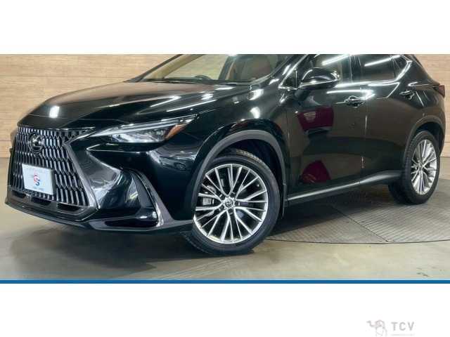 2022 Lexus NX