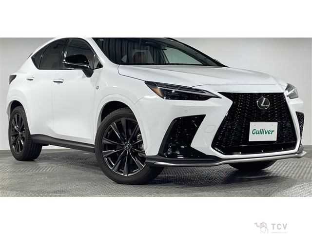 2022 Lexus NX