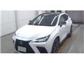 2022 Lexus NX