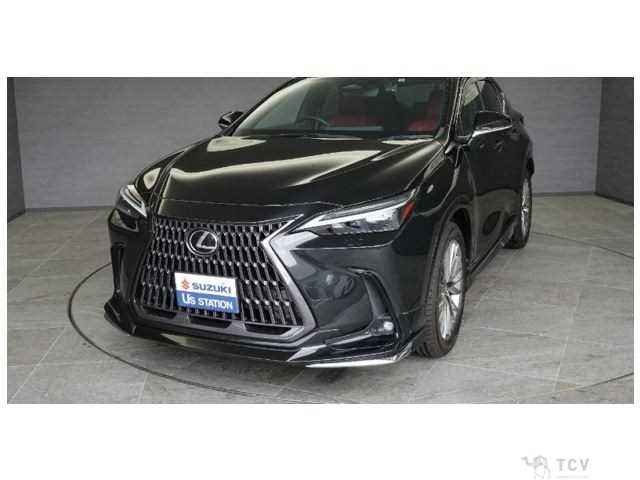 2022 Lexus NX