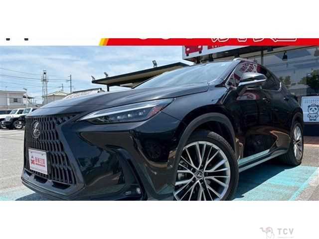 2022 Lexus NX