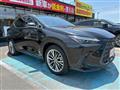 2022 Lexus NX