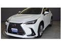 2022 Lexus NX