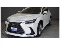 2022 Lexus NX