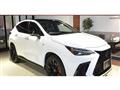 2022 Lexus NX