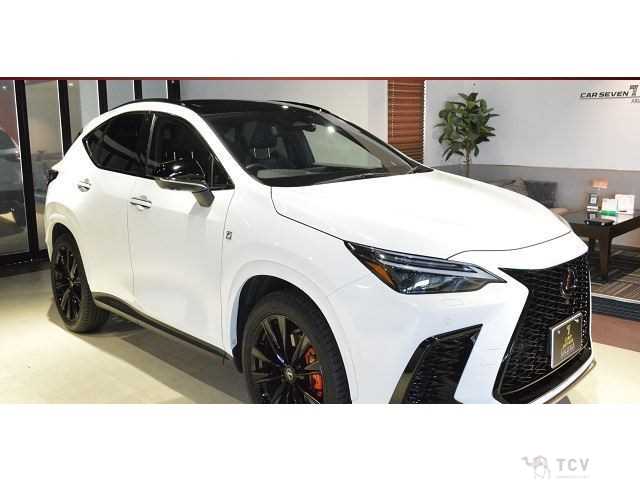 2022 Lexus NX