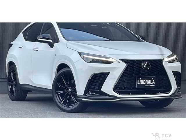 2022 Lexus NX