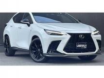 2022 Lexus NX