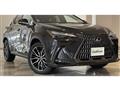 2022 Lexus NX