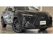2022 Lexus NX