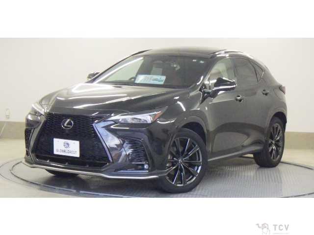 2022 Lexus NX