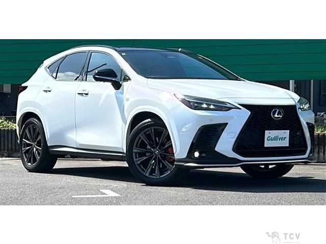 2022 Lexus NX