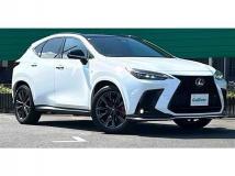 2022 Lexus NX