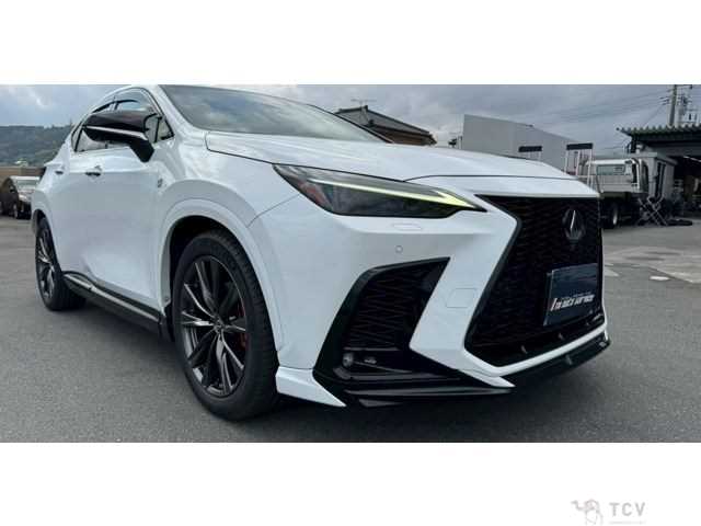 2022 Lexus NX