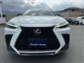 2022 Lexus NX