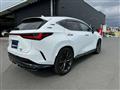 2022 Lexus NX