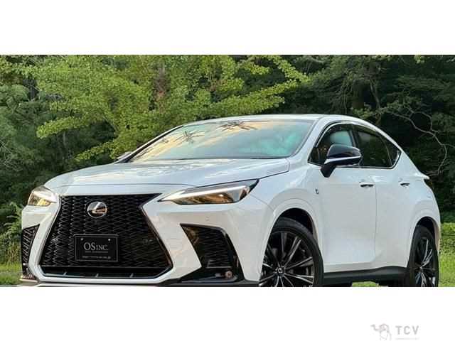 2022 Lexus NX
