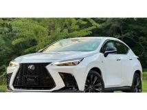 2022 Lexus NX
