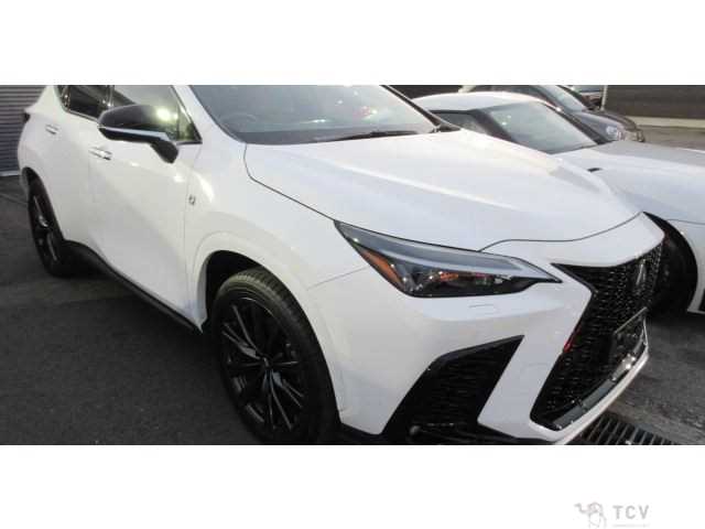 2022 Lexus NX
