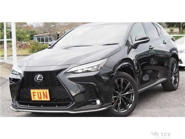 2022 Lexus NX