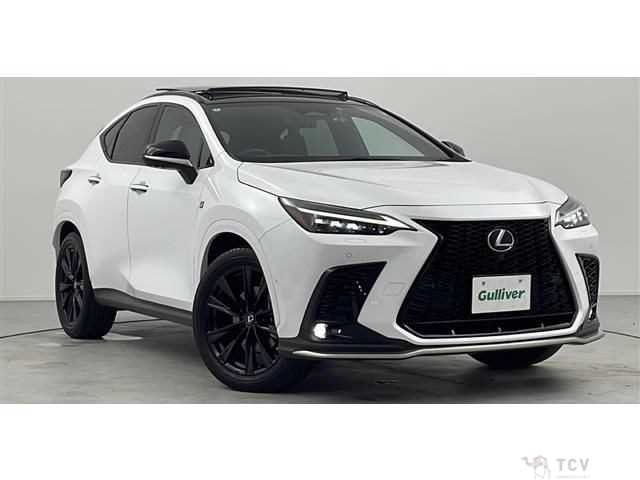2022 Lexus NX