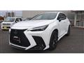 2022 Lexus NX