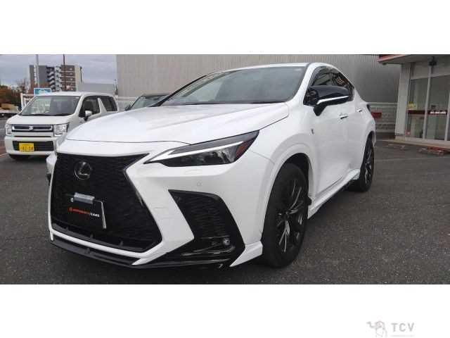 2022 Lexus NX