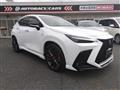 2022 Lexus NX
