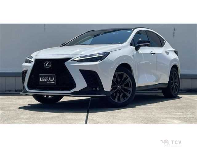 2022 Lexus NX