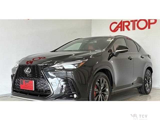 2022 Lexus NX