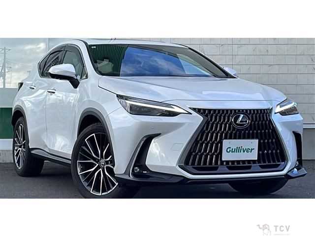 2022 Lexus NX