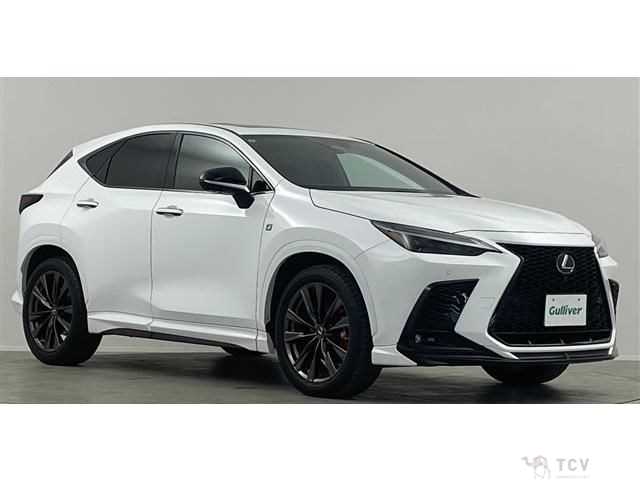 2022 Lexus NX
