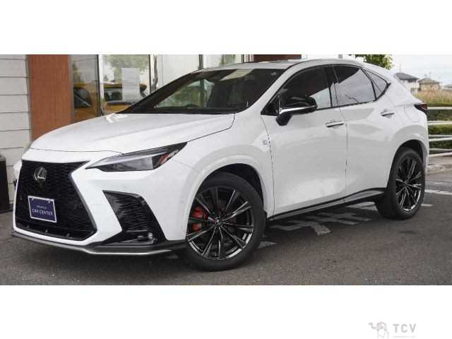 2022 Lexus NX
