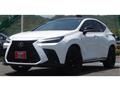 2022 Lexus NX