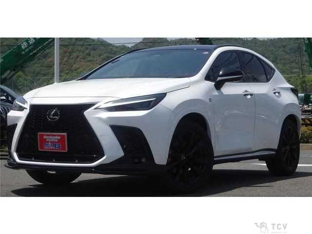2022 Lexus NX