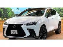 2022 Lexus NX