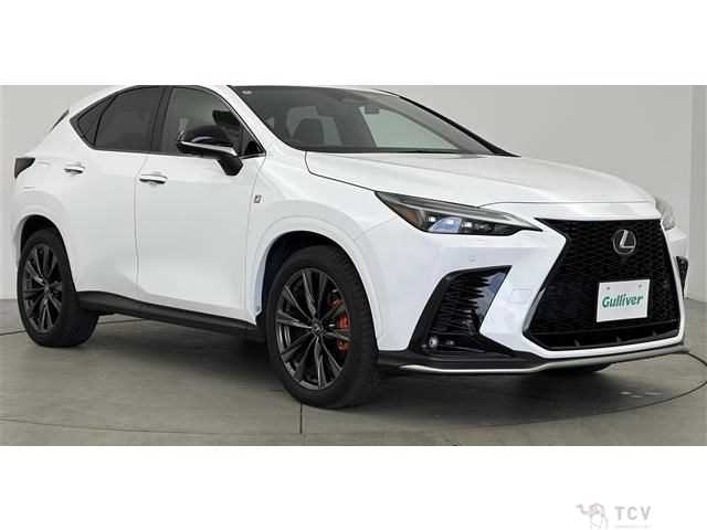 2022 Lexus NX