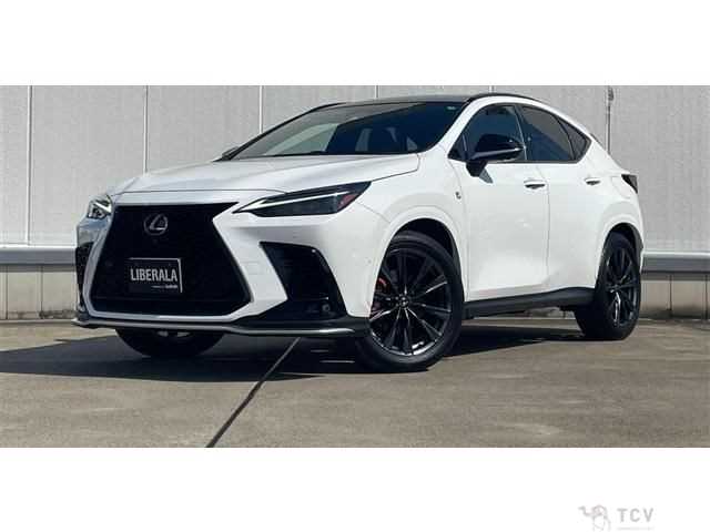 2022 Lexus NX