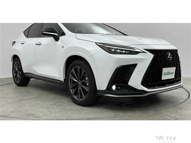 2022 Lexus NX