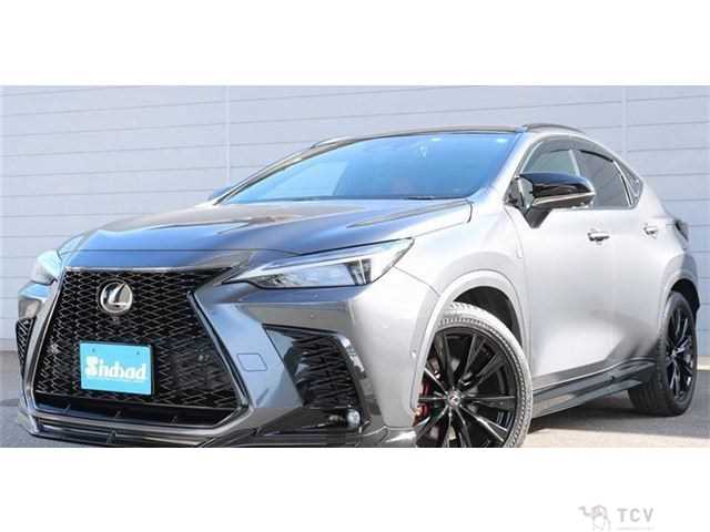 2022 Lexus NX