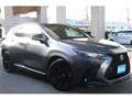2022 Lexus NX