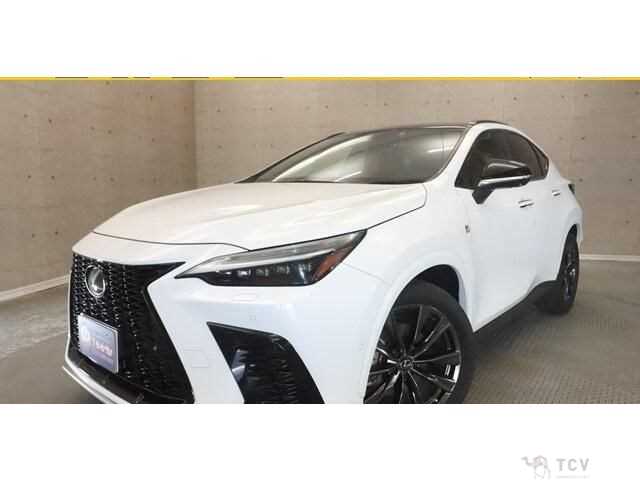 2022 Lexus NX