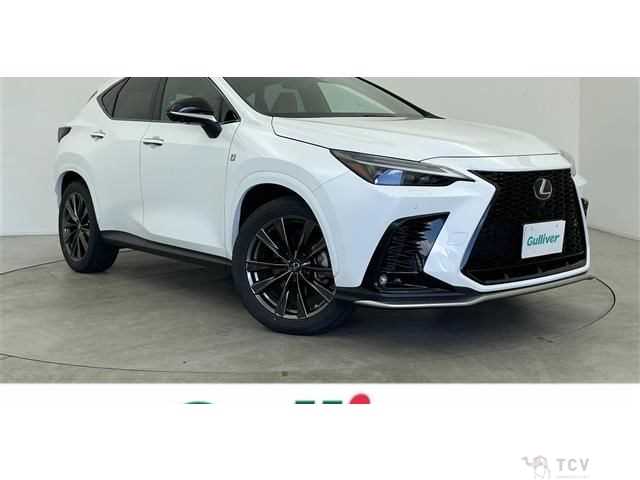 2022 Lexus NX