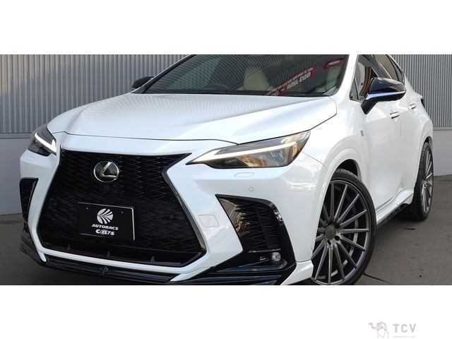 2022 Lexus NX