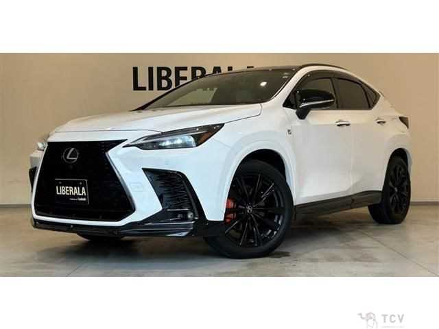 2022 Lexus NX