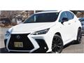 2022 Lexus NX