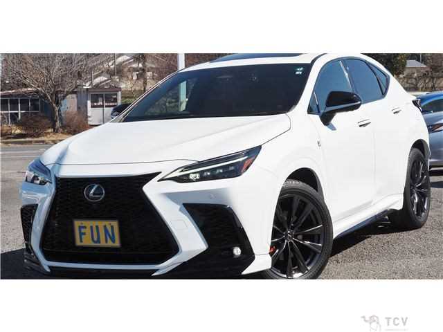 2022 Lexus NX