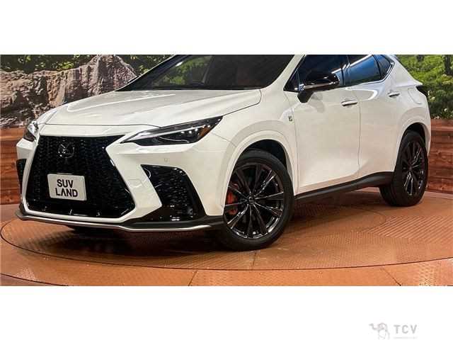 2022 Lexus NX